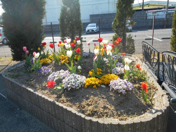 056 - 暖かくなってきました！！