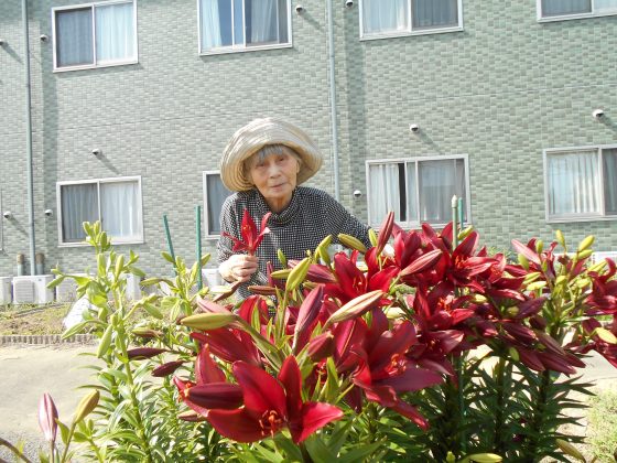 074 - 中庭までお散歩に行きました。