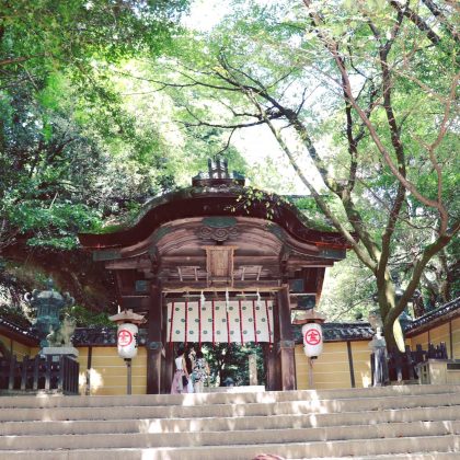 1680546F C6C7 4796 88C8 628EB82E2366 - うどんを求めてプチ旅行