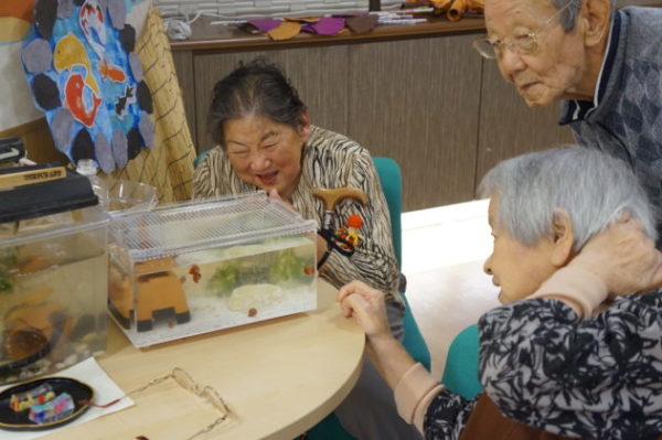 DSC01728 600x399 1 - いきものと暮らす。