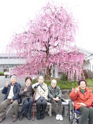 DSC04370 - 伊賀ＣＨデイ　観梅ツアー①