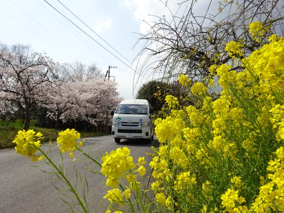 DSC05078 - 伊賀ＣＨデイ　お花見　②