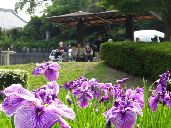 DSC06125 - 伊賀CHデイ　あじさい見物①