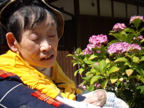 紫陽花を見にお出かけをしてきました。 IMGP0015 - 紫陽花を見にお出かけをしてきました。