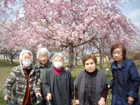 お花見に、出かけました。(日本に産まれて良かったと・・) IMGP1118 - お花見に、出かけました。(日本に産まれて良かったと・・)