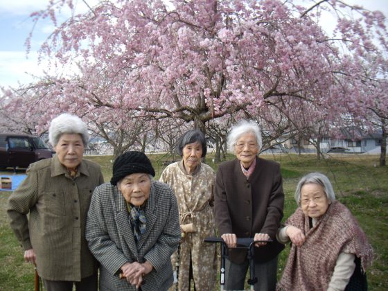 お花見に、出かけました。(日本に産まれて良かったと・・) IMGP1154 - お花見に、出かけました。(日本に産まれて良かったと・・)