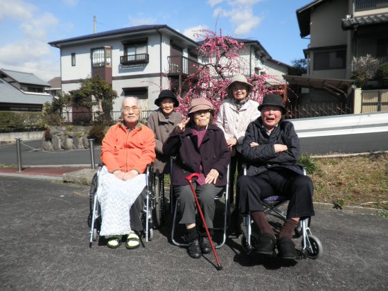 P1010020 - 梅の花見に行きました