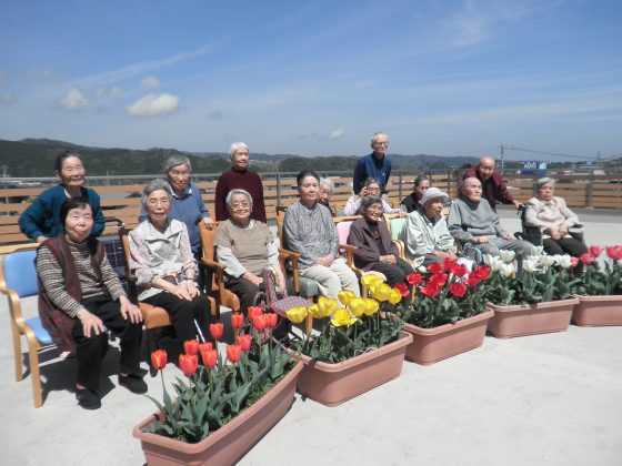 P4180075 - チューリップが咲きました♪