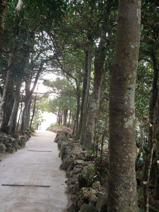 少し前に沖縄へ行ってきました!! line 121879358248783 - 少し前に沖縄へ行ってきました!!