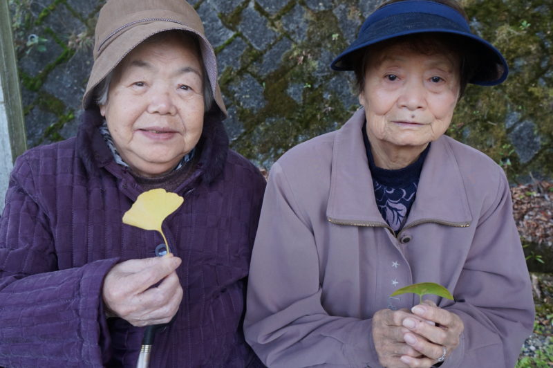 DSC02251 - 紅葉を求めてドライブレク