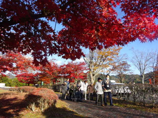 伊賀CHデイ 紅葉狩り① DSC08729 600x450 - 伊賀CHデイ 紅葉狩り①