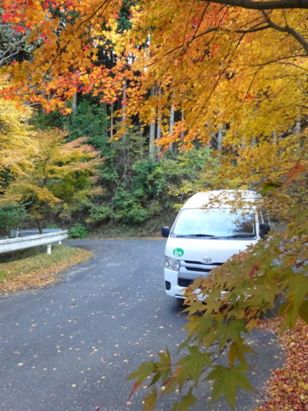 DSC08750 450x600 - 伊賀CHデイ　紅葉狩り②