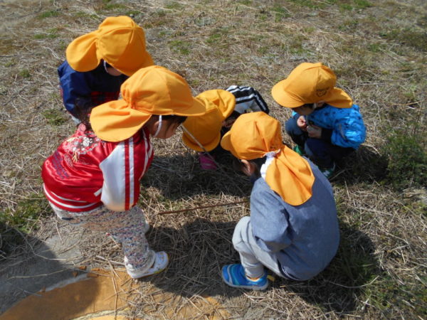 はじめまして♪名張やる気保育園です♫ DSCN0304 600x450 - はじめまして♪名張やる気保育園です♫