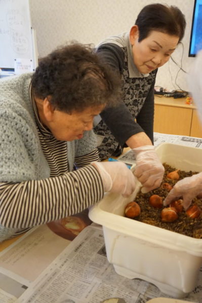 DSC02514 399x600 - 春に向けて&hellip;