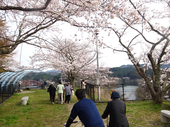 DSC00209 R - 伊賀CHデイ お花見①