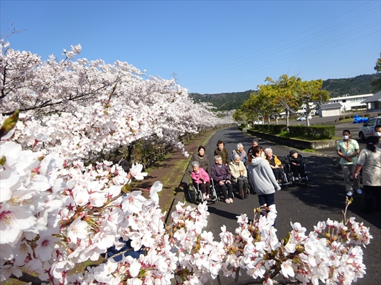 DSC00271 R - 伊賀CHデイ お花見②