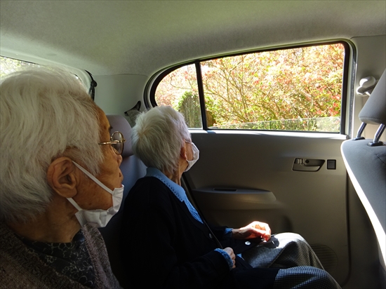 DSC00512 R - 伊賀CHデイ つつじ見物①