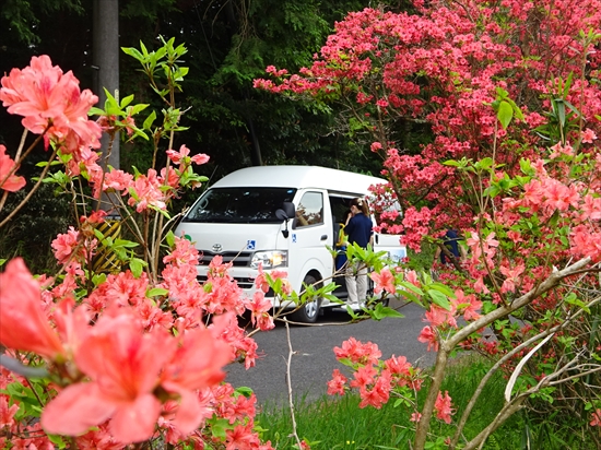 DSC00550 R - 伊賀CHデイ つつじ見物①