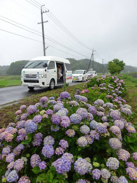 DSC00852 450x600 - 伊賀CHデイ　あじさい見物①