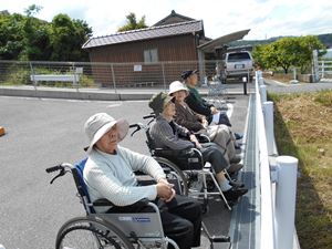 DSCN0958 R - 日向ぼっこ🌞