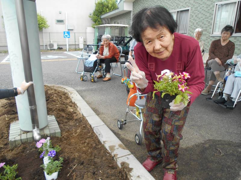 DSCN5522 - 六月の花植えを行いました⚘
