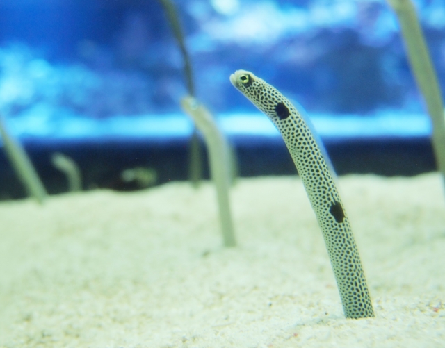 1586282 s - 介護の日