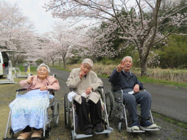 054 600x450 - 🌸お花見①🌸