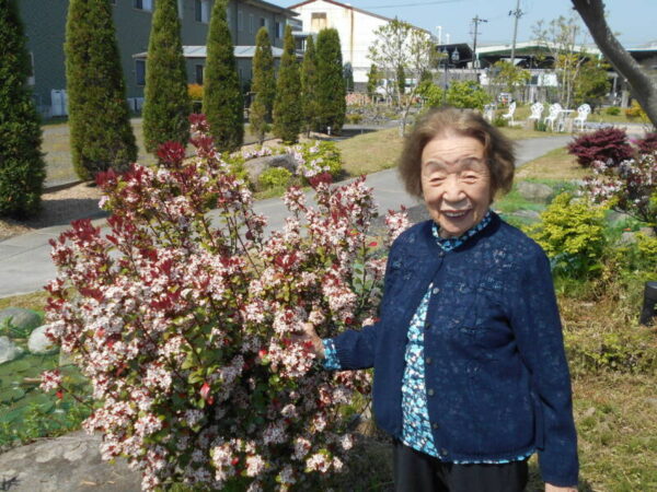 今回の花を紹介します🌺 DSCN0056 600x450 - 今回の花を紹介します🌺