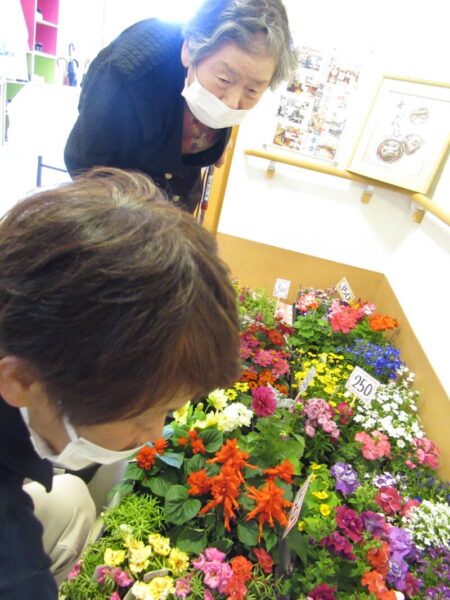 伊賀CHデイ ☆今月の手芸『寄せ植え』 IMG 0172 450x600 - 伊賀CHデイ ☆今月の手芸『寄せ植え』