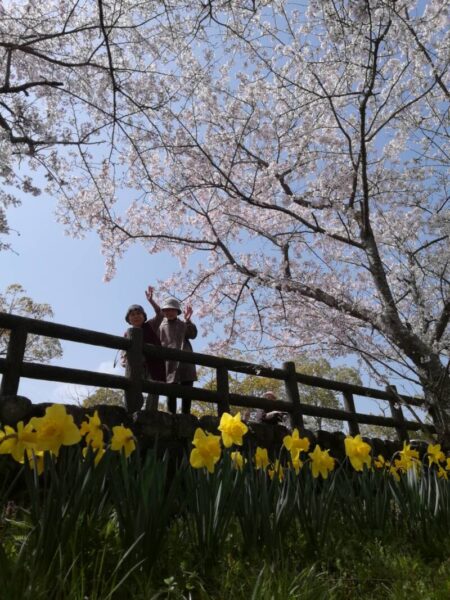 IMG 20210401 105009 450x600 - 🌸お花見②🌸