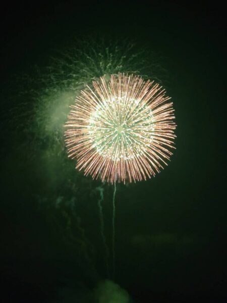 20210821 195719 450x600 - サプライズ花火🎆