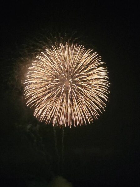 20210821 195720 450x600 - サプライズ花火🎆