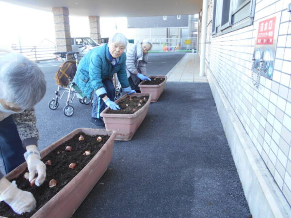 DSCN2705 600x450 - チューリップを植えました🌷