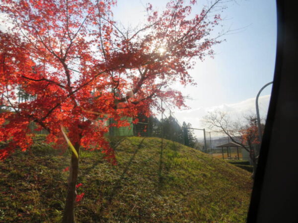 IMG 0859 600x450 - 紅葉狩り🍁