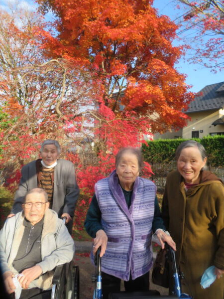 IMG 0868 450x600 - 紅葉狩り🍁