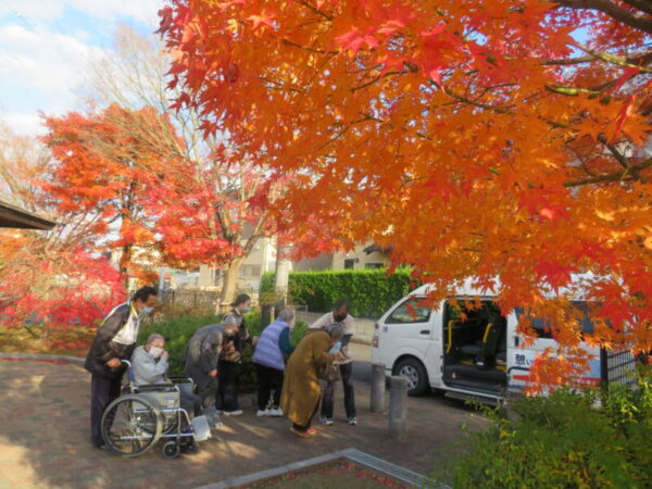 IMG 0873 600x450 - 紅葉狩り🍁