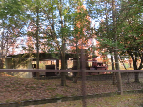 IMG 0884 600x450 - 紅葉狩り🍁