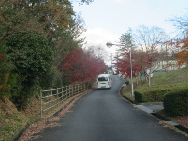 IMG 0885 600x450 - 紅葉狩り🍁