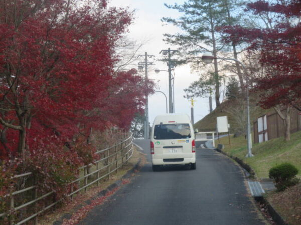 IMG 0886 600x450 - 紅葉狩り🍁
