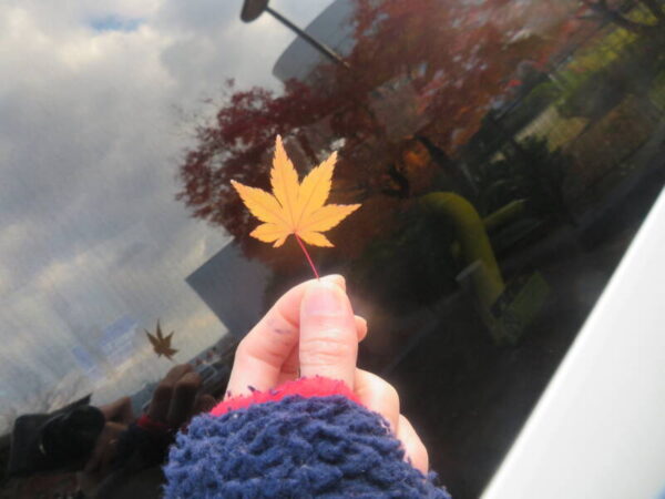 IMG 0889 600x450 - 紅葉狩り🍁
