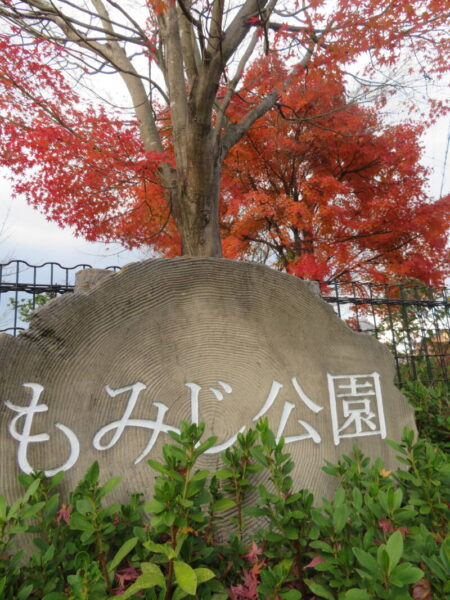 IMG 0897 450x600 - 紅葉狩り🍁