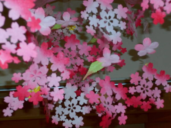 DSCN8393 600x450 - 私たちの桜です♪♪