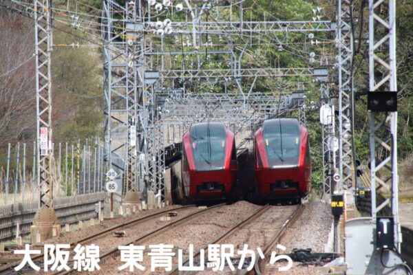 奇跡のショット‼️ IMG 0055 600x400 - 奇跡のショット‼️