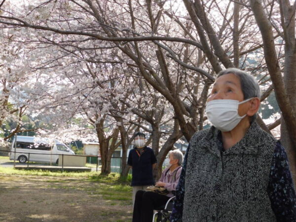 DSCN1943 1 600x450 - 満開の桜🌸と満面の笑み