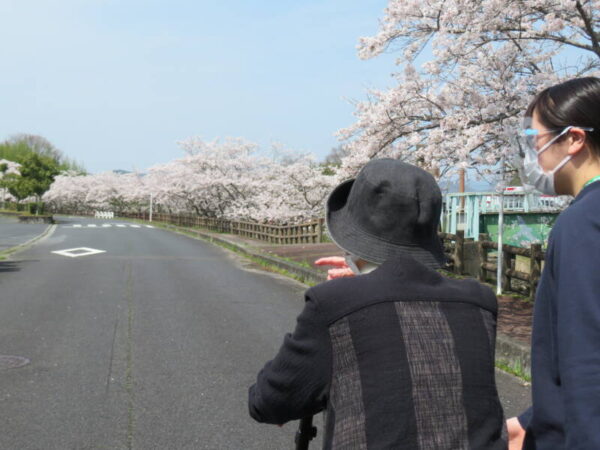 IMG 1430 600x450 - お花見写真続き🌸
