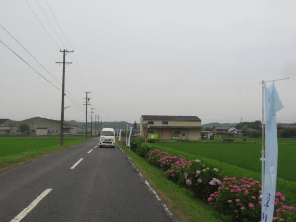 IMG 1576 600x450 - あじさいドライブ🚙