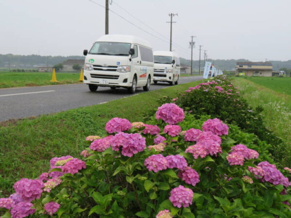 IMG 1577 600x450 - あじさいドライブ🚙