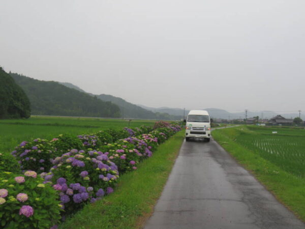 IMG 1586 600x450 - あじさいドライブ🚙