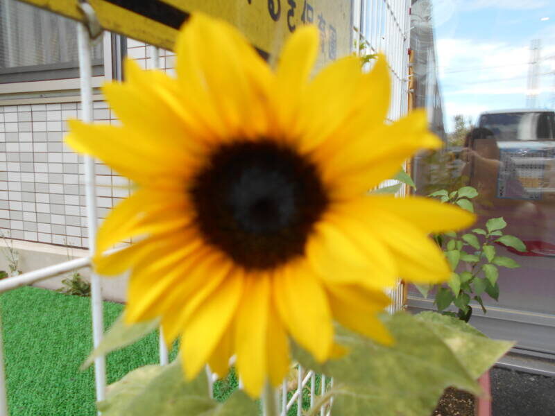 DSCN8103 800x600 - 7月もいろいろ楽しいことがありました！