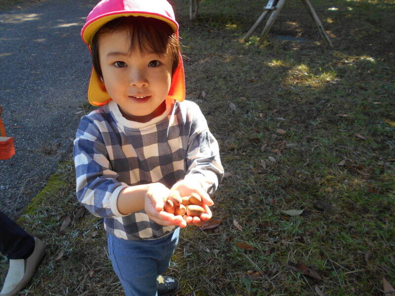DSCN9513 800x600 - 😊どんぐり拾いに出かけました‼